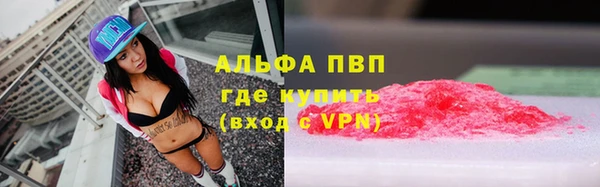ПСИЛОЦИБИНОВЫЕ ГРИБЫ Бронницы