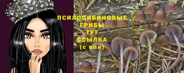 ПСИЛОЦИБИНОВЫЕ ГРИБЫ Бронницы
