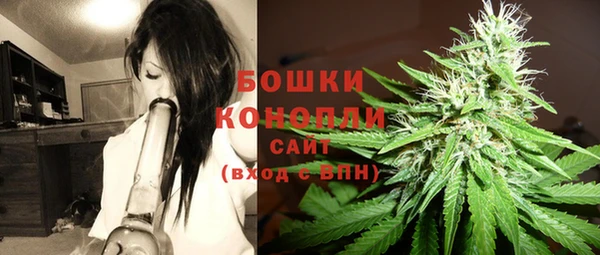 ПСИЛОЦИБИНОВЫЕ ГРИБЫ Бронницы