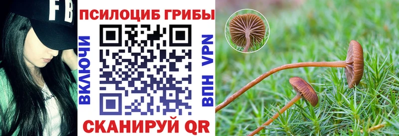 Псилоцибиновые грибы прущие грибы  Купить закладки  Луховицы 